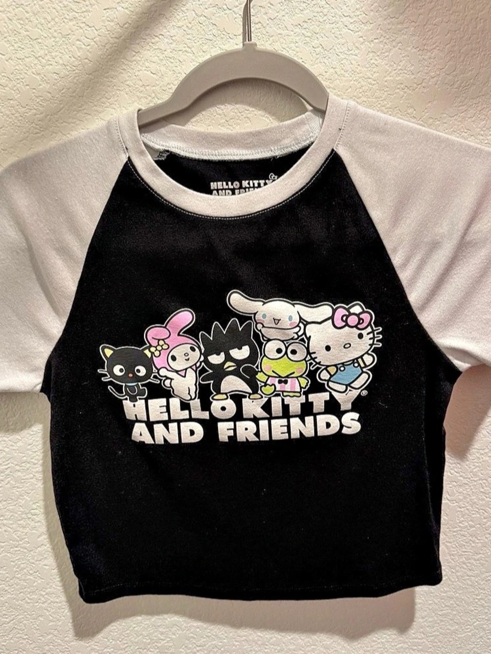Hello Kitty and Friends Graphic Color Block Tee